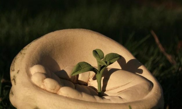 Concedidos los Premios Agroalimentarios de Aragón