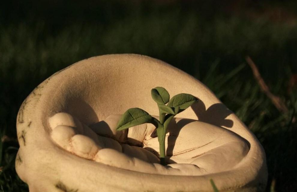 Concedidos los Premios Agroalimentarios de Aragón