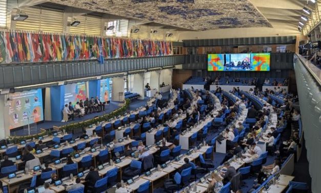 El CITA participa en un evento internacional en la FAO sobre el papel de los jóvenes en la ganadería sostenible