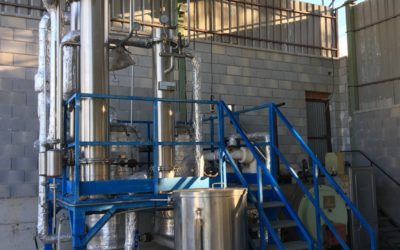 El CITA impulsa la revalorización de subproductos de plantas aromáticas para el desarrollo de cosméticos sostenibles