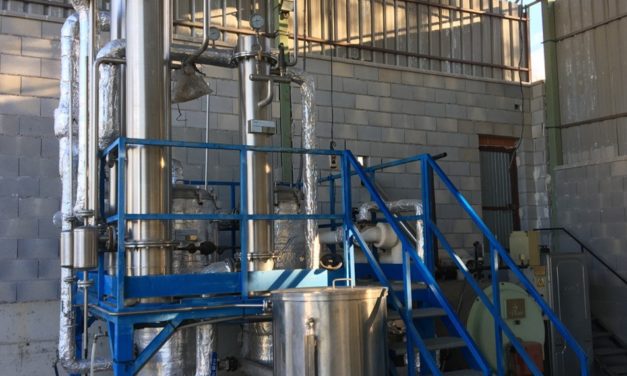 El CITA impulsa la revalorización de subproductos de plantas aromáticas para el desarrollo de cosméticos sostenibles