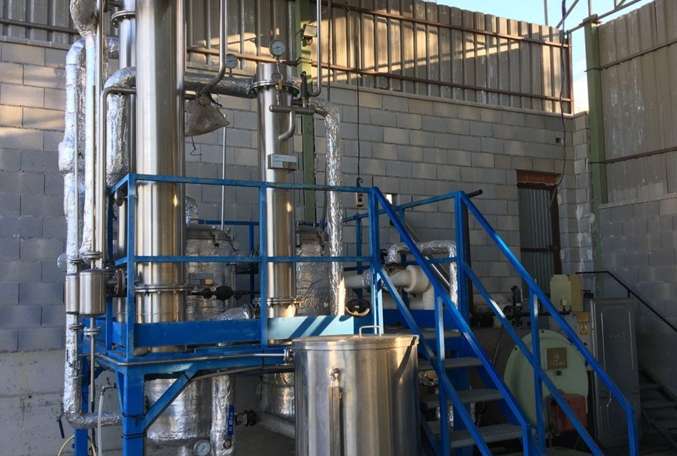 El CITA impulsa la revalorización de subproductos de plantas aromáticas para el desarrollo de cosméticos sostenibles