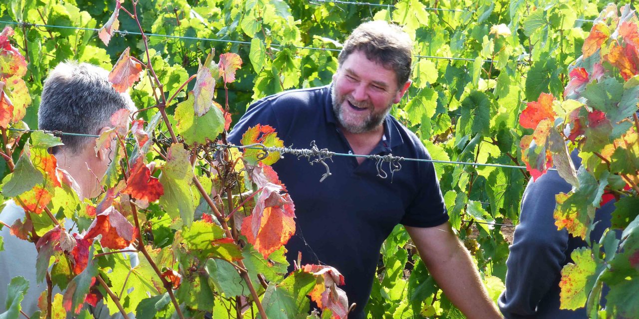 La DOP Cariñena aborda en una jornada la producción ecológica