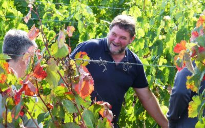 La DOP Cariñena aborda en una jornada la producción ecológica