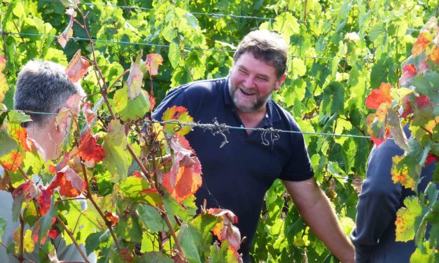 La DOP Cariñena aborda en una jornada la producción ecológica