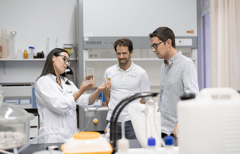 Sommos apuesta por la economía circular en una investigación de la Universidad de Zaragoza y Bugcle que vincula el hollejo de la uva con la mejora de piensos para animales