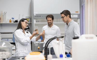 Sommos apuesta por la economía circular en una investigación de la Universidad de Zaragoza y Bugcle que vincula el hollejo de la uva con la mejora de piensos para animales