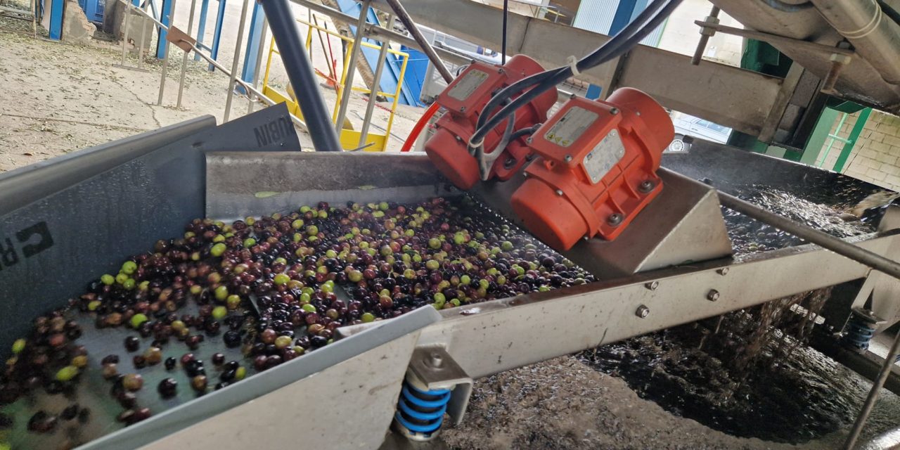 Agricultura celebra en Barbastro la Denominación de Origen Protegida del Aceite del Somontano