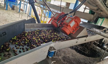 Agricultura celebra en Barbastro la Denominación de Origen Protegida del Aceite del Somontano