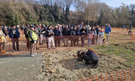 Rincón respalda al sector trufero en la VI Feria de la Trufa Negra de Graus