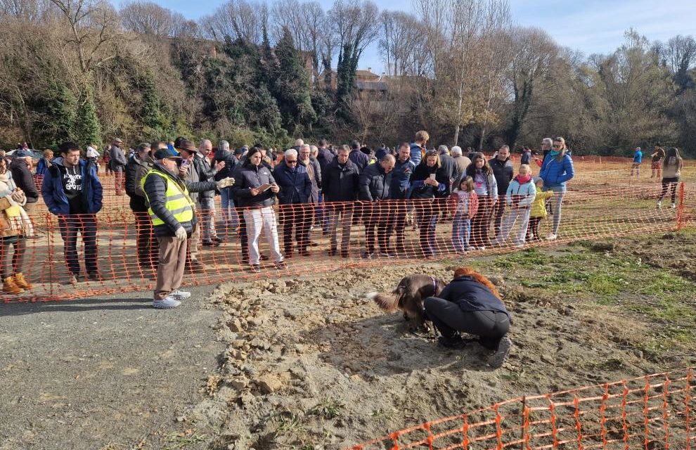 Rincón respalda al sector trufero en la VI Feria de la Trufa Negra de Graus
