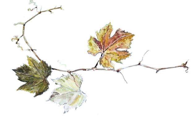 Art & Wine fusionará paisaje, arte y vino en el Cariñena Wine Museum