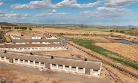 Aragón pide al Ministerio intensificar las negociaciones internacionales para proteger las exportaciones de porcino