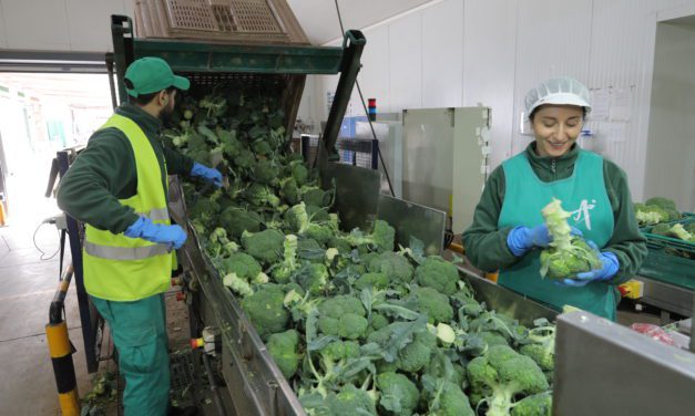 Récord de solicitudes en el plan de ayudas a las industrias agroalimentarias del departamento de Agricultura