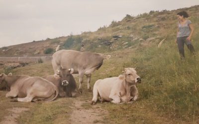 ELECCIONES AUTONÓMICAS. Ganadería extensiva