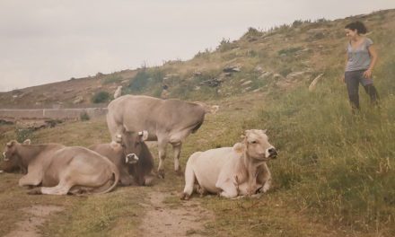Crece el liderazgo femenino en el sector agrario y rural de Aragón