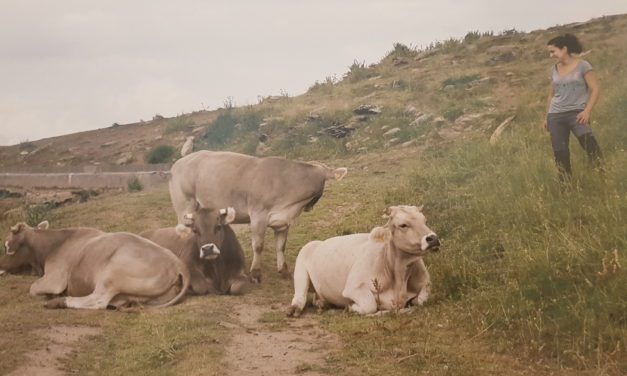 Crece el liderazgo femenino en el sector agrario y rural de Aragón