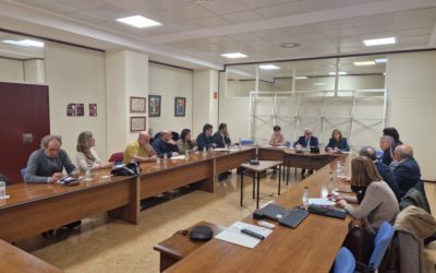 Agricultura mantiene una nueva reunión con las organizaciones agrarias para actualizar la situación de la Peste Porcina Africana