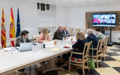 El Gobierno de Aragón valora positivamente la “unión” del sector porcino para alcanzar un “resultado favorable” sobre los aranceles chinos