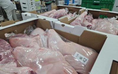 Javier Rincón pide más información al Ministerio sobre la evolución de la PPA en su visita a Bopepor