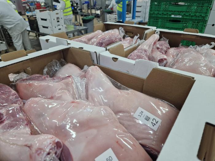 Javier Rincón pide más información al Ministerio sobre la evolución de la PPA en su visita a Bopepor