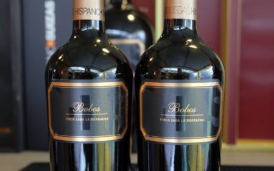 Asador Galino Pueyo acoge la primera cata vertical de Bobos