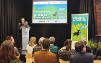 La Diputación de Huesca apuesta por el pastoralismo en los Pirineos coordinando el proyecto BEEP