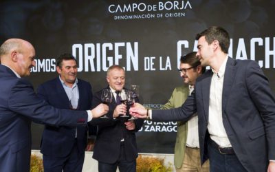 Eduardo Ibáñez, presidente de la DOP Campo de Borja: “Tenemos que reivindicar que la garnacha es una variedad aragonesa”