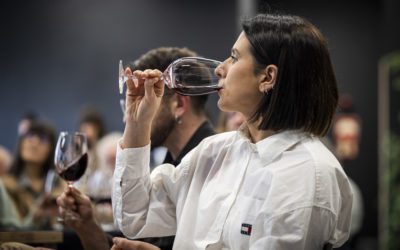 Eduardo Ibáñez, presidente del CRDO Campo de Borja:  “La garnacha es una variedad poco valorada en los años 90 y que hoy se sitúa entre los mejores tintos del panorama internacional”