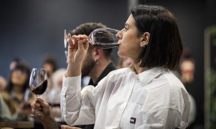 Eduardo Ibáñez, presidente del CRDO Campo de Borja:  “La garnacha es una variedad poco valorada en los años 90 y que hoy se sitúa entre los mejores tintos del panorama internacional”