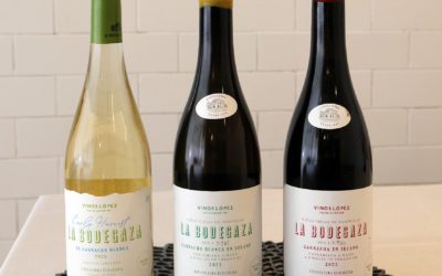 Vinos López lanza 8000 botellas de su nueva garnacha blanca Early Harvest