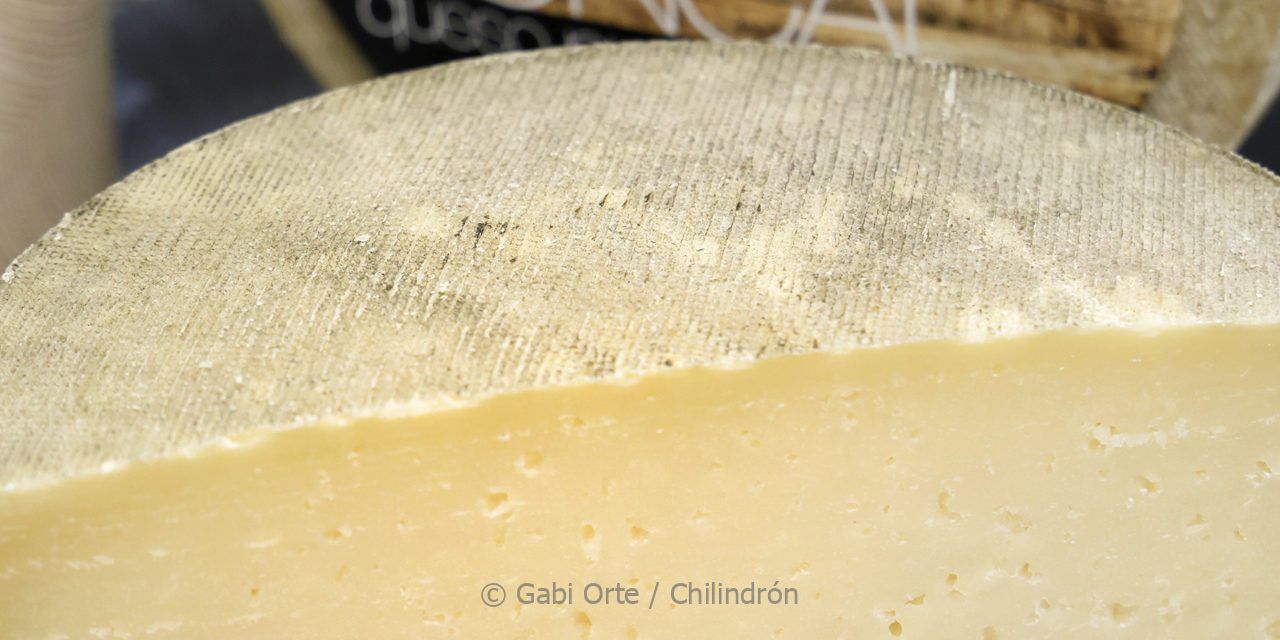 El queso Roncal, en Zaragoza