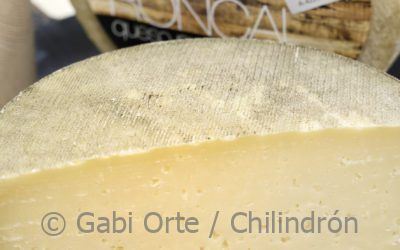 El queso Roncal, en Zaragoza