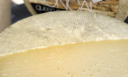 El queso Roncal, en Zaragoza