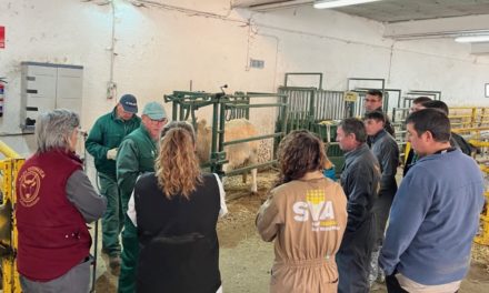 La Finca Experimental de La Garcipollera, clave en la formación de los futuros ganaderos