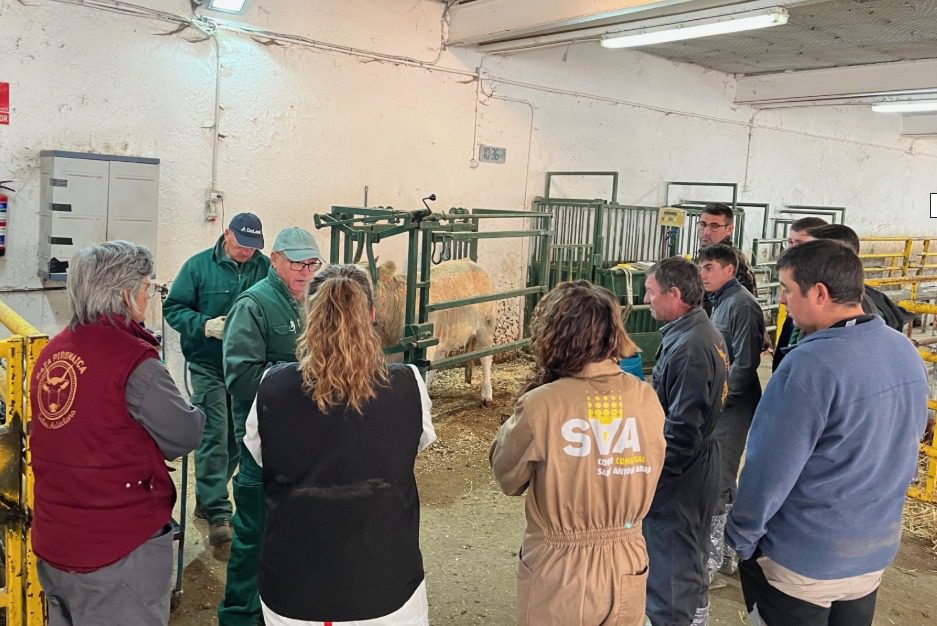 La Finca Experimental de La Garcipollera, clave en la formación de los futuros ganaderos