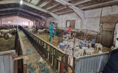 Rincón: “Los LEADER deben tener un reconocimiento claro y suficiente en el diseño de la nueva PAC”