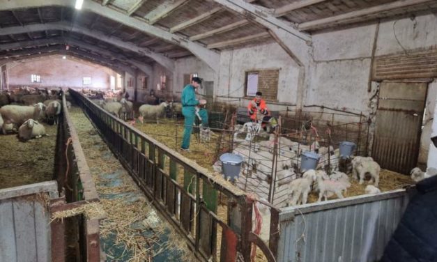 Rincón: “Los LEADER deben tener un reconocimiento claro y suficiente en el diseño de la nueva PAC”