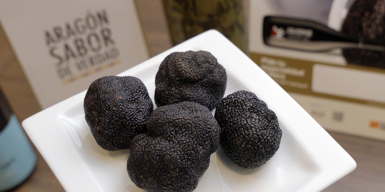 Descubre la trufa celebra su décima edición en medio centenar de establecimientos de Zaragoza y provincia