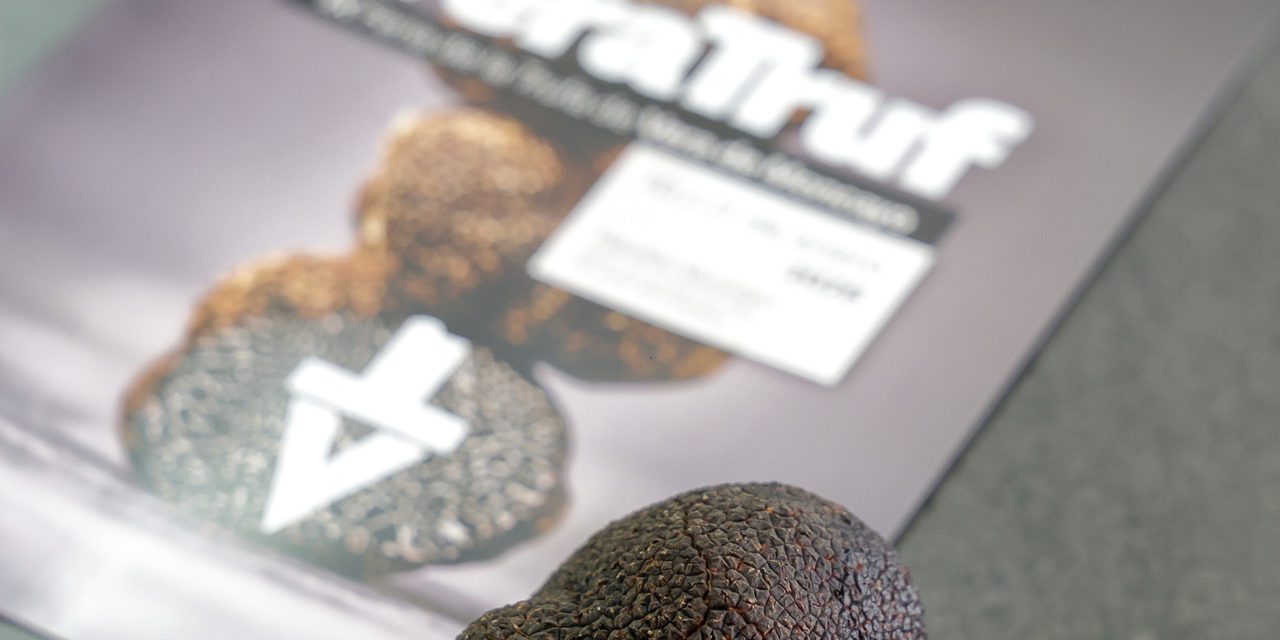 Veratruf, la Feria de la trufa de Vera de Moncayo inaugura el calendario trufero de 2026