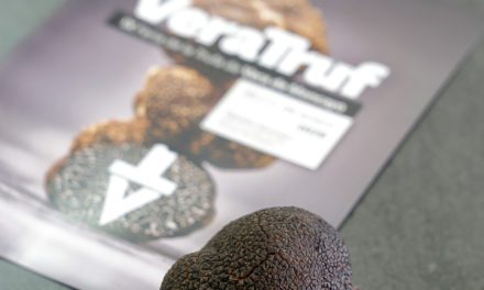 Veratruf, la Feria de la trufa de Vera de Moncayo inaugura el calendario trufero de 2026