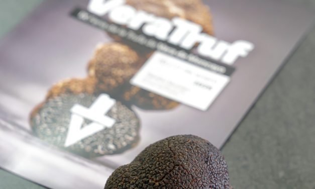 Veratruf, la Feria de la trufa de Vera de Moncayo inaugura el calendario trufero de 2026