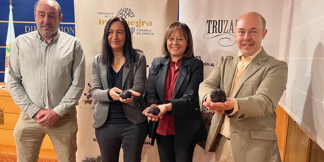 Las VIII Jornadas de la Trufa Negra de la Comarca Campo de Daroca contarán con la primera subasta virtual de trufa de Aragón