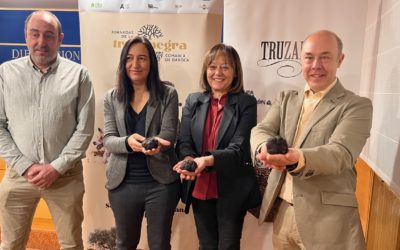 Las VIII Jornadas de la Trufa Negra de la Comarca Campo de Daroca contarán con la primera subasta virtual de trufa de Aragón