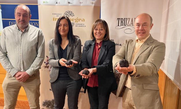 Las VIII Jornadas de la Trufa Negra de la Comarca Campo de Daroca contarán con la primera subasta virtual de trufa de Aragón