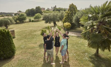 Nueve viajes para descubrir la Ruta del Vino Somontano a bordo del Bus del Vino