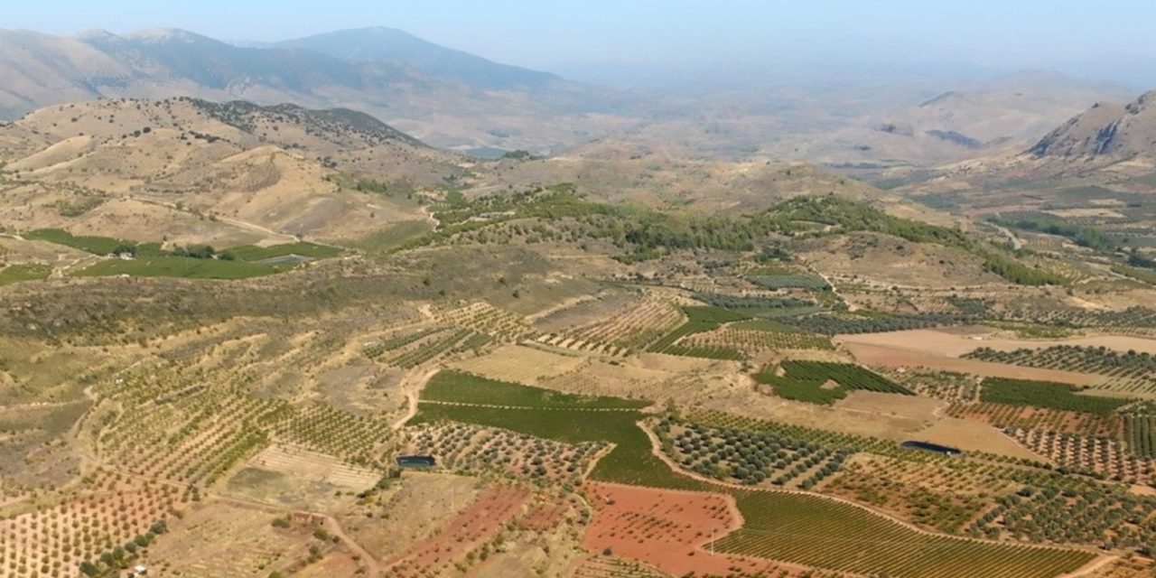 Parrel y Gonfaus: El renacimiento varietal aragonés