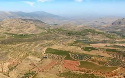 Parrel y Gonfaus: El renacimiento varietal aragonés