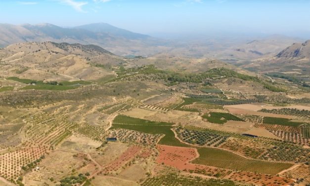 Parrel y Gonfaus: El renacimiento varietal aragonés