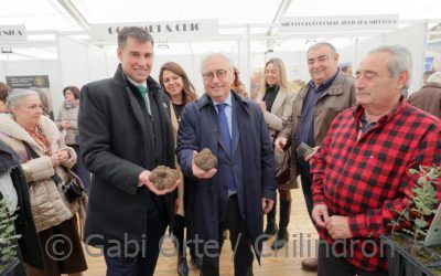 Arranca la novena edición de Veratruf, la Feria de la Trufa de Vera de Moncayo